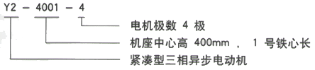 YR系列(H355-1000)高压YR6303-4/2000KW三相异步电机西安西玛电机型号说明